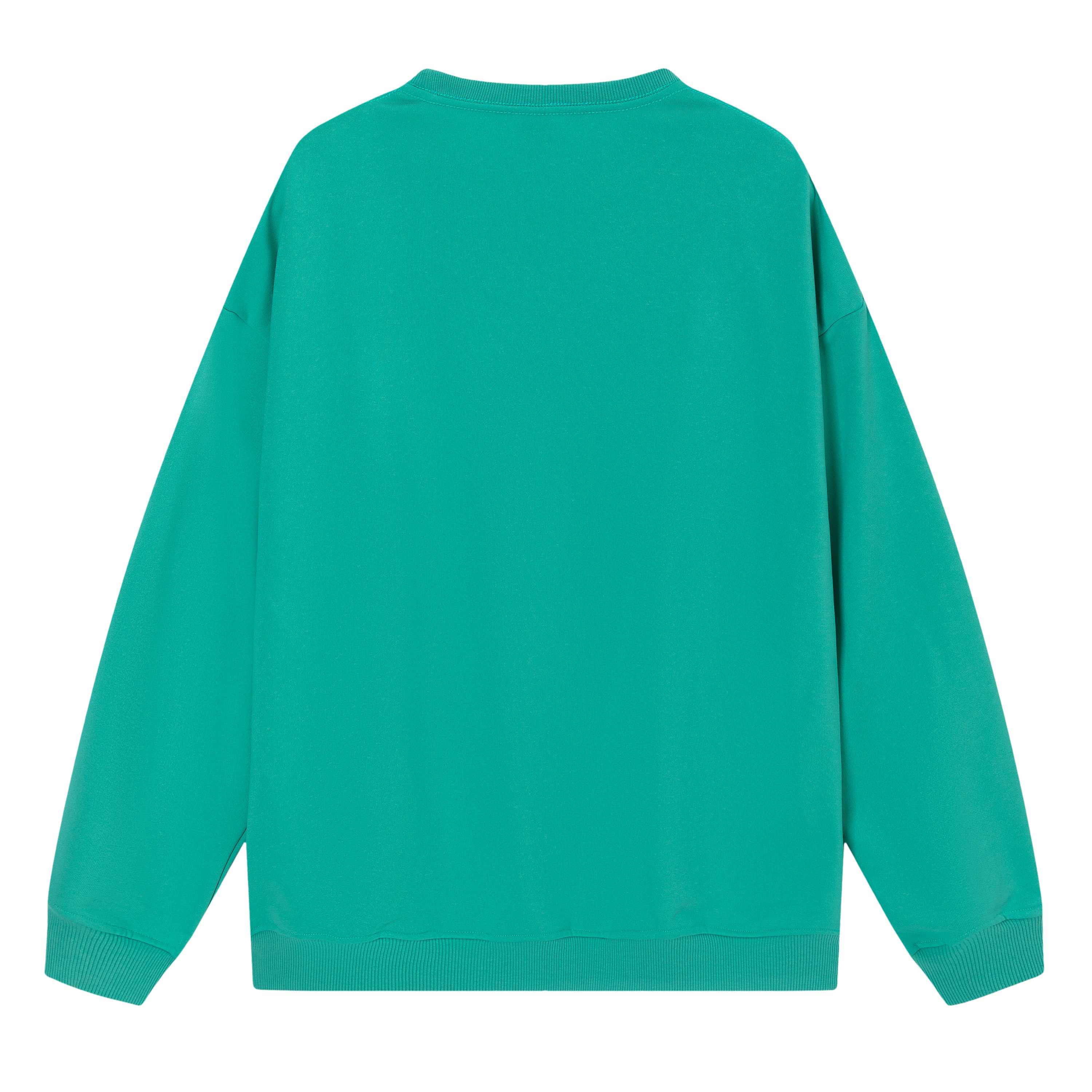 Men's Basic Light blue Sweatshirt